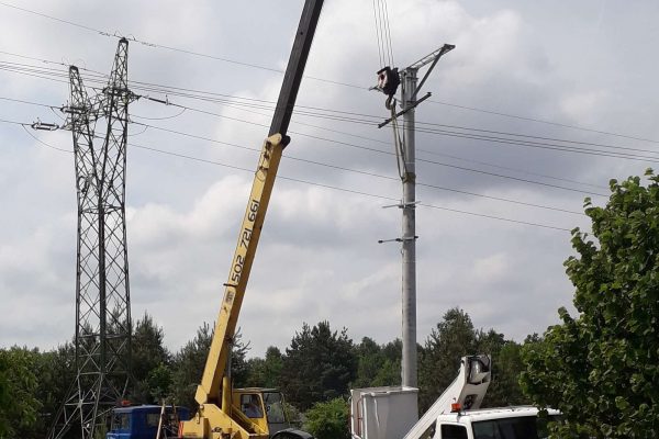 Bukowno_Remiza wymiana słupa SN (2)